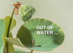 Potret Keseharian Manusia Mini yang Menggelitik