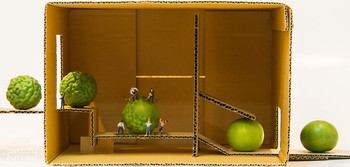 Menggambarkan para pekerja di pabrik jeruk limo. (kredit foto: peeowhy)