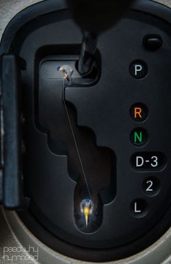 Potret Keseharian Manusia Mini yang Menggelitik