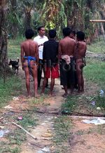 Jokowi Kunjungi Suku Anak Dalam