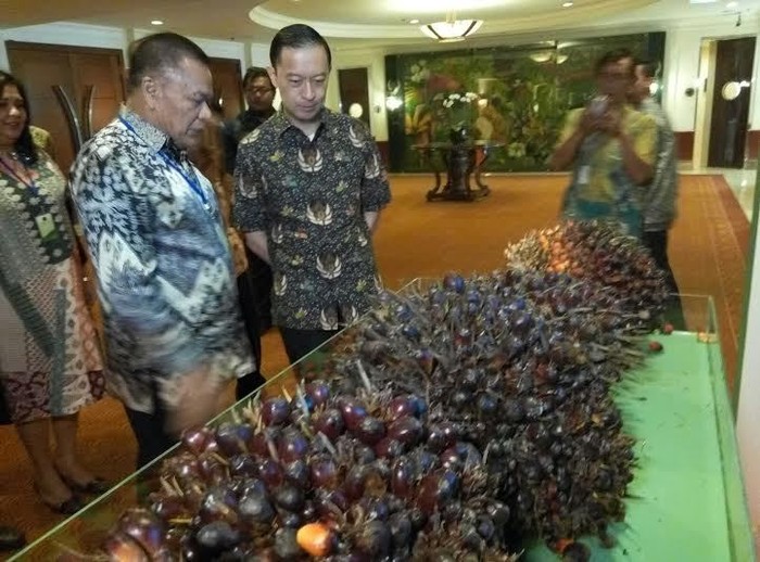 Ini Aturan Mendag Lembong yang Dianggap Liberal