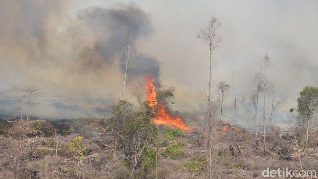 Buat Para Pendaki, Please Jangan Buang Putung Rokok di Gunung