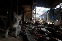 Kondisi pasar saat ini sudah sepi pedagang.