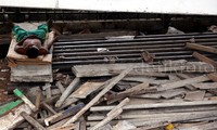 Meski pemerintah telah melarang, mereka tetap tinggal di kolong jembatan.