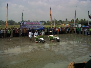 Padi Kena Dampak El Nino, Mentan: Produksi Masih Naik 4,9 Juta Ton