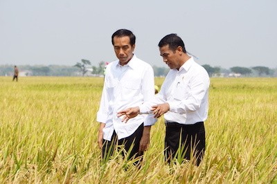 Diminta Jokowi Segera Tender Proyek, Ini Langkah Mentan