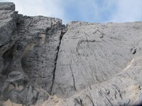 Inilah Teras Besar yang berada di ketinggian 4.600-an mdpl. Tidak ada rumput, hanya batu dan pasir sejauh mata memandang. Di depannya, ada tebing setinggi 100 meter yang harus didaki menuju Summit Ridge alias punggungan pegunungan Puncak Carstensz! (Afif/detikTravel)