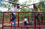 Menikmati Sore di Taman Tebet Honda