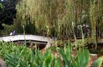 Menikmati Sore di Taman Tebet Honda