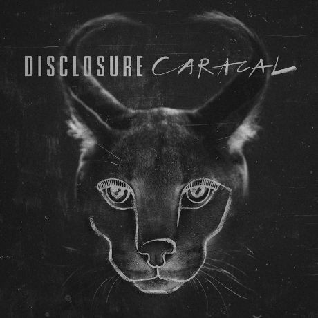 Caracal, Mendengar Disclosure Lebih Jelas Lagi