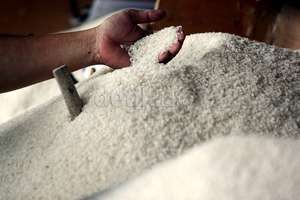 Potensi Investasi di Perbatasan, Ada Beras Organik Makanan Raja Brunei