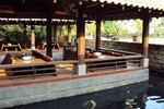 Gurih Sedap! Ikan Bakar Dabu-Dabu dan Ayam Goreng Kalasan Plus Kremesan