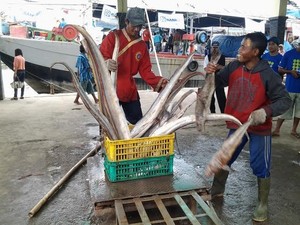 Ada Kredit Untuk Nelayan Dengan Bunga 12%, Ini Syaratnya