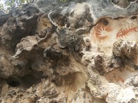 Di Sunmalele Atsa, Misool, Raja Ampat ada ceruk tebing karst yang sering disebut sebagai Gua Telapak Tangan. Pada dinding tebing itu terdapat banyak gambar telapak tangan manusia (Kurnia/detikTravel)