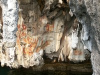 Dinding bagian bawah lukisan digenangi air laut karena posisi nya memang di tepi pulau karst. Posisi lukisan berjarak skeitar 2 meter di atas permukaan laut (Kurnia/detikTravel)