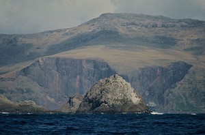 Pulau Kekecewaan di Selandia Baru