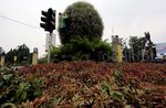 Tanaman yang Kering di Jalan Asia-Afrika Diganti
