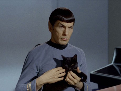 Trekkies, Star Trek Akan Segera Kembali ke Layar Kaca!