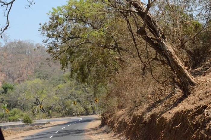 Ada Jalan 270 Km di Perbatasan NTT Mulus, Ini Rahasianya