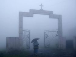 Ini Dia Tempat Terbasah di Dunia, Hujan Bisa 24 Jam