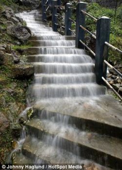 Ini Dia Tempat Terbasah di Dunia, Hujan Bisa 24 Jam