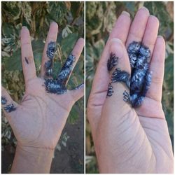 Gambar 3D yang Seakan Hidup di Telapak Tangan