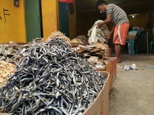 Jangan Kaget! RI Masih Impor Gurita, Cumi-cumi, Hingga Ikan Asin