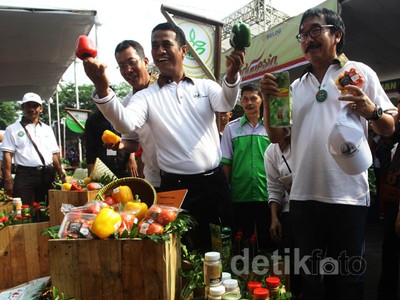 Mentan Buka Hari Bulan Mutu Pertanian 2015