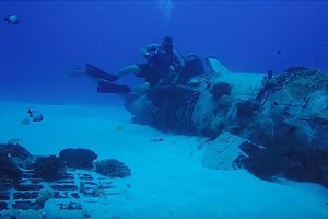 Cuma di Hawaii, Diving di Bangkai Pesawat PD II Bareng Belut Laut