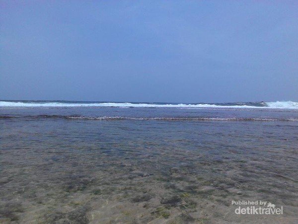 Pantai Kukup Di Gunungkidul Akuarium Laut Kembaran