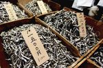 Tsukiji, Pasar Ikan Terbersih di Dunia