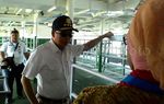 Jokowi Resmikan  Kapal Pengangkut Sapi