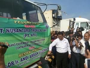 Mentan Lepas Ekspor Nanas dan Pisang Made in Lampung ke China Hingga AS