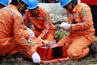 Selain melakuan penggantian isolator, penggantian konduktor rantas, perbaikan hot point, tim PDKB personel nya harus mempunyai kemampuan penyelamatan dan juga kemampuan di bidang medis. Jelas Wahyu Eko dari PLN APP Semarang selaku Kordinator tim PDKB.