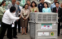 Siti mengatakan, saat ini pemerintah mempersiapkan program untuk 25 jenis satwa yang dilindungi supaya populasinya terus terjaga.