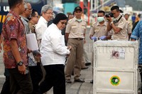 Setelah dibawa ke Taman Safari, 14 ekor orangutan ini akan dikarantina untuk mengecek apakah mereka telah bebas TBC dan Hepatitis. Termasuk untuk mengecek lagi genetik satwa tersebut untuk membedakan spesies asal Kalimantan atau Sumatera.