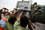14 Ekor Orangutan Selundupan Dipulangkan ke Tanah Air