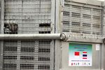 14 Ekor Orangutan Selundupan Dipulangkan ke Tanah Air