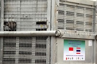 Sebanyak 12 dari 14 ekor orangutan ini diselundupkan dari Kalimantan ke Thailand saat masih bayi. Tujuh tahun lalu, orangutan ini diselamatkan polisi dan dikirimkan ke pusat pemeliharaan satwa di Ratchburi, sekitar 80 km sebelah barat kota Bangkok. Sementara dua ekor lainnya lahir di pusat satwa Thailand tersebut.