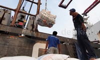 Petugas tengah melakukan bongkar beras impor asal Vietnam, Kamis (12/11). Alfatir Yulianda/detikFoto.