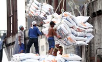 Beras diturunkan dari kapal MV Hai Pong 08. Kapal tersebut mengangkut sebanyak 27.065 ton beras asal Vietnam. Alfatir Yulianda/detikFoto.