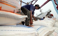 Menurut jadwal, proses bongkar muat dan kapal keluar dari Pelabuhan Tanjung Priok pada Jumat, 13 November, pukul 24.00. Saat ini, baru 1 kapal pengangkut beras Vietnam yang sudah bersandar di Pelabuhan Tanjung Priok. Alfatir Yulianda/detikFoto.