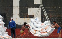 Langkah pemerintah melakukan impor beras saat ini dinilai tepat oleh pedagang. Sebab, suplai beras IR 643 atau beras kualitas III alias beras medium ke Pasar Induk Beras Cipinang (PIBC) sudah jauh di bawah normal. Beras jenis inilah yang banyak dikonsumsi masyarakat menengah ke bawah. Alfatir Yulianda/detikFoto.