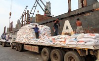 Beras tersebut kemudian diangkut dengan kontainer. Alfatir Yulianda/detikFoto.