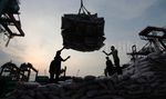 Beras Impor Asal Vietnam Tiba di Tanjung Priok