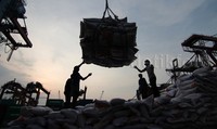 Belum diketahui apakah ada lagi kapal beras asal Vietnam yang akan masuk ke Pelabuhan Tanjung Priok. Alfatir Yulianda/detikFoto.