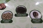 Wisata Unik ke Pabrik Kopi di Bali
