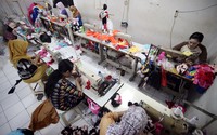 Saat ini Hayashi Toy Smart memiliki sekitar 30 pekerja.