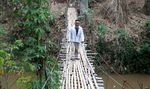 Diguyur Hujan, Jembatan Bambu Licin Saat Dipijaki