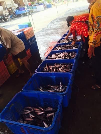 Dorong Akses Pembiayaan di Sektor Perikanan, Ini Program OJK